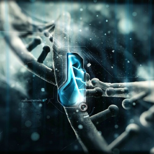 HiTech - Vol.1
