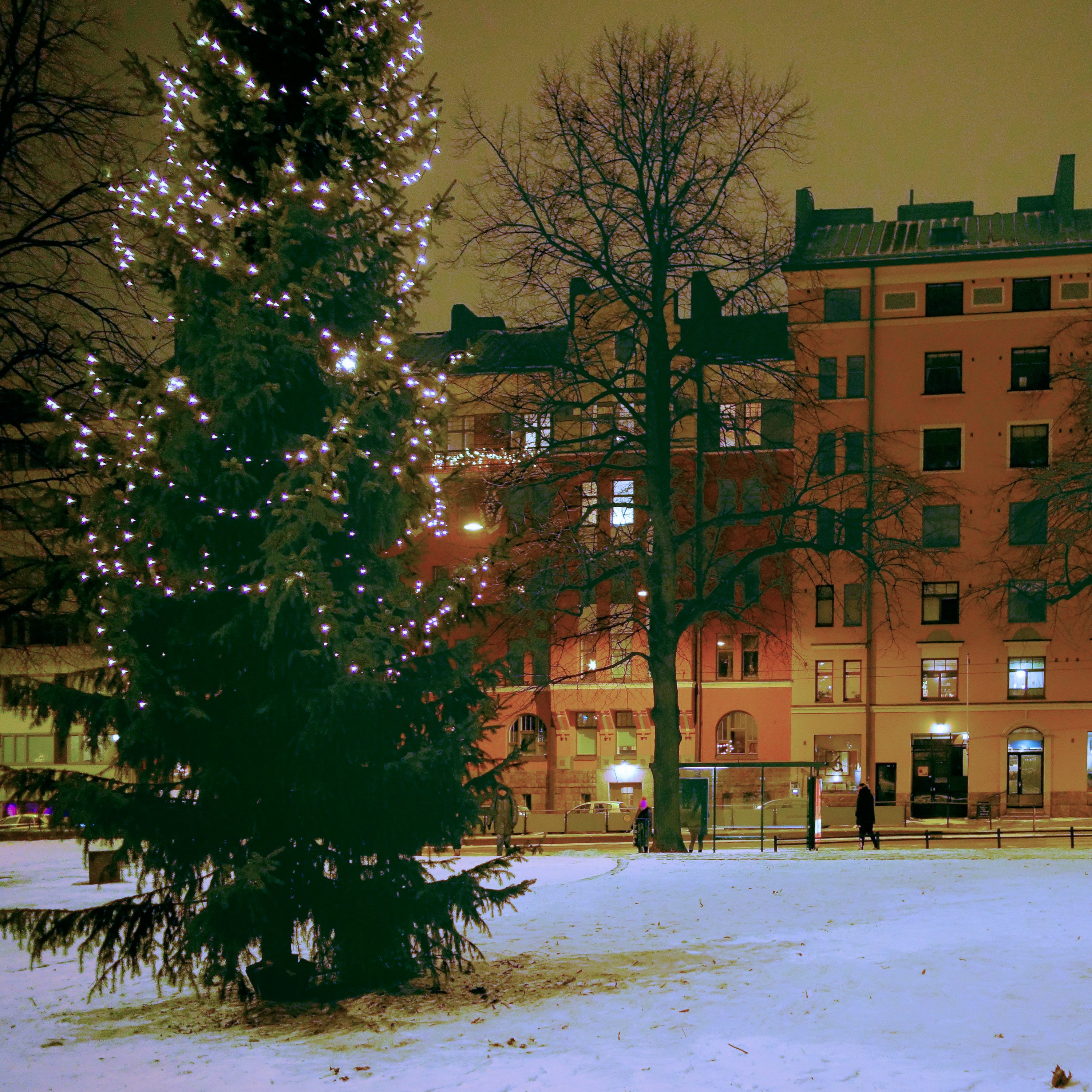 Jarmo \