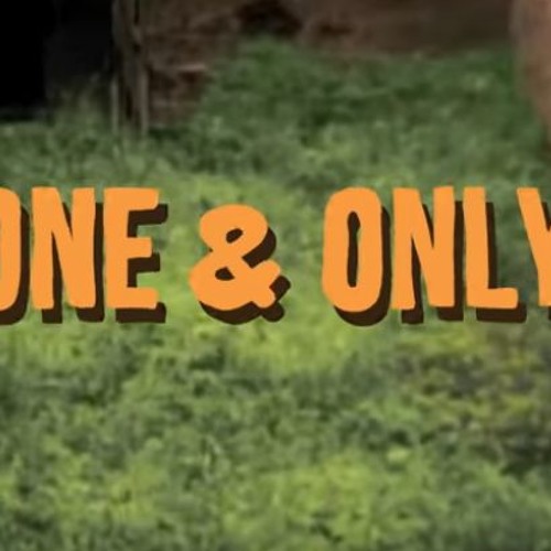 Lentourloop Ft Charlie P - One & Only