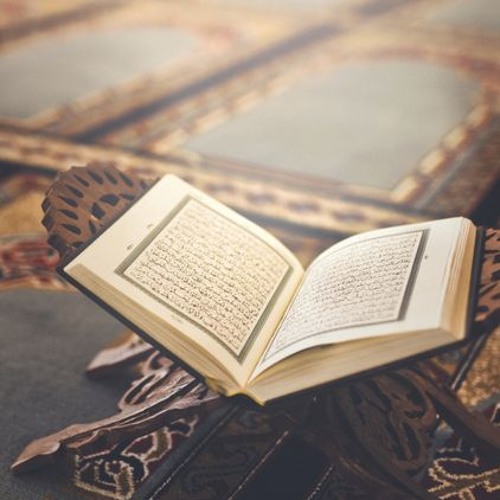 الشيخ أحمد بركات ,سورة سبأ 24 - 33
