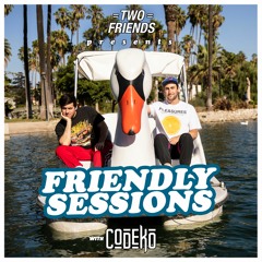 2F Friendly Sessions, Ep. 40 (Includes Codeko Guest Mix)
