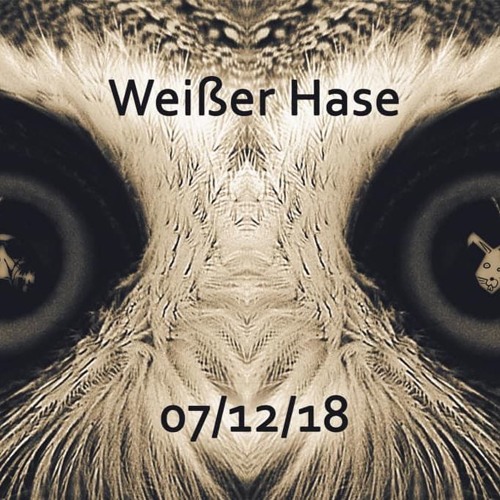 KlangPusch @weisser Hase Disordereds Birthday - 07122018
