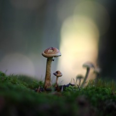 Magic (Original Mix)