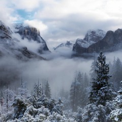 Winter 2018-2019