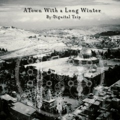 Diguital Trip - A Town With A Long Winter