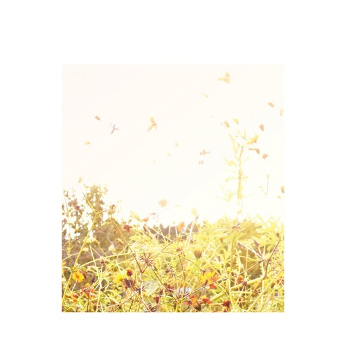 Rhucle / Fade In (Snippets)