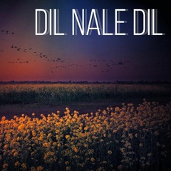 Dil Nale Dil
