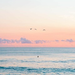 Inbox — December 2018