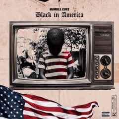 Black in America