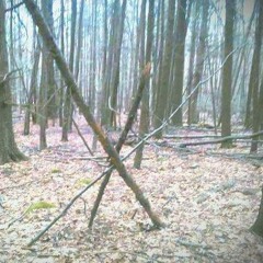 Foot falls ( young) taking marbles