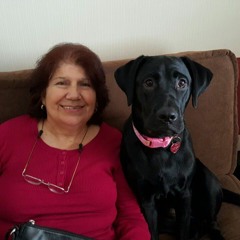 BossaParaGreta