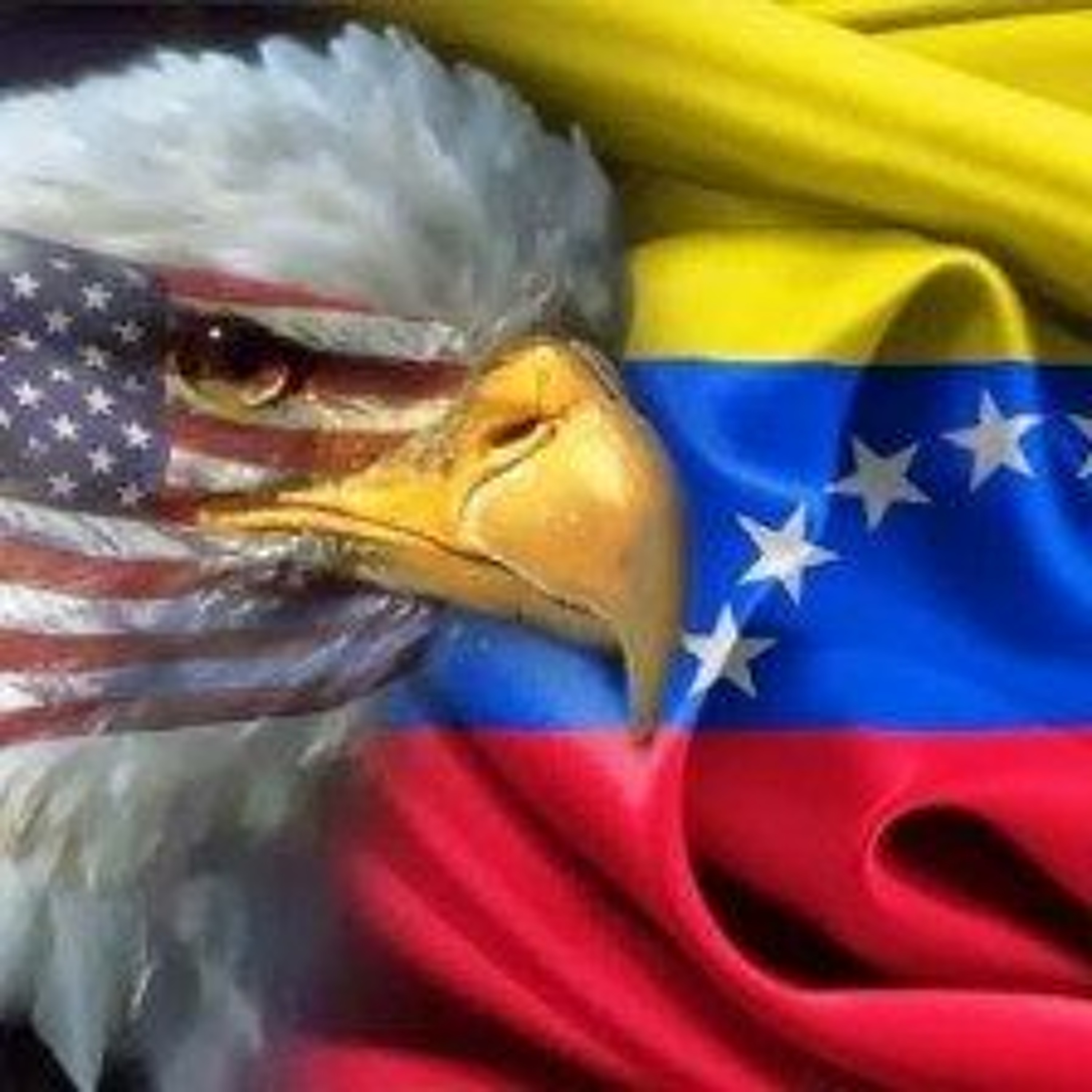 What is Really Happening in Venezuela? A Speech by Steve Ellner episode artwork