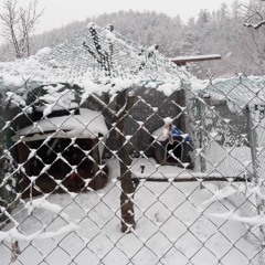 김해권 - 거짓말[원곡가수 조항조]