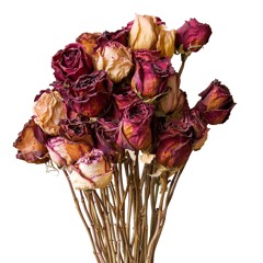 Sonnet (for two soprano's and vibraphone, 2018)