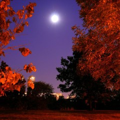 Daylight Savings Song