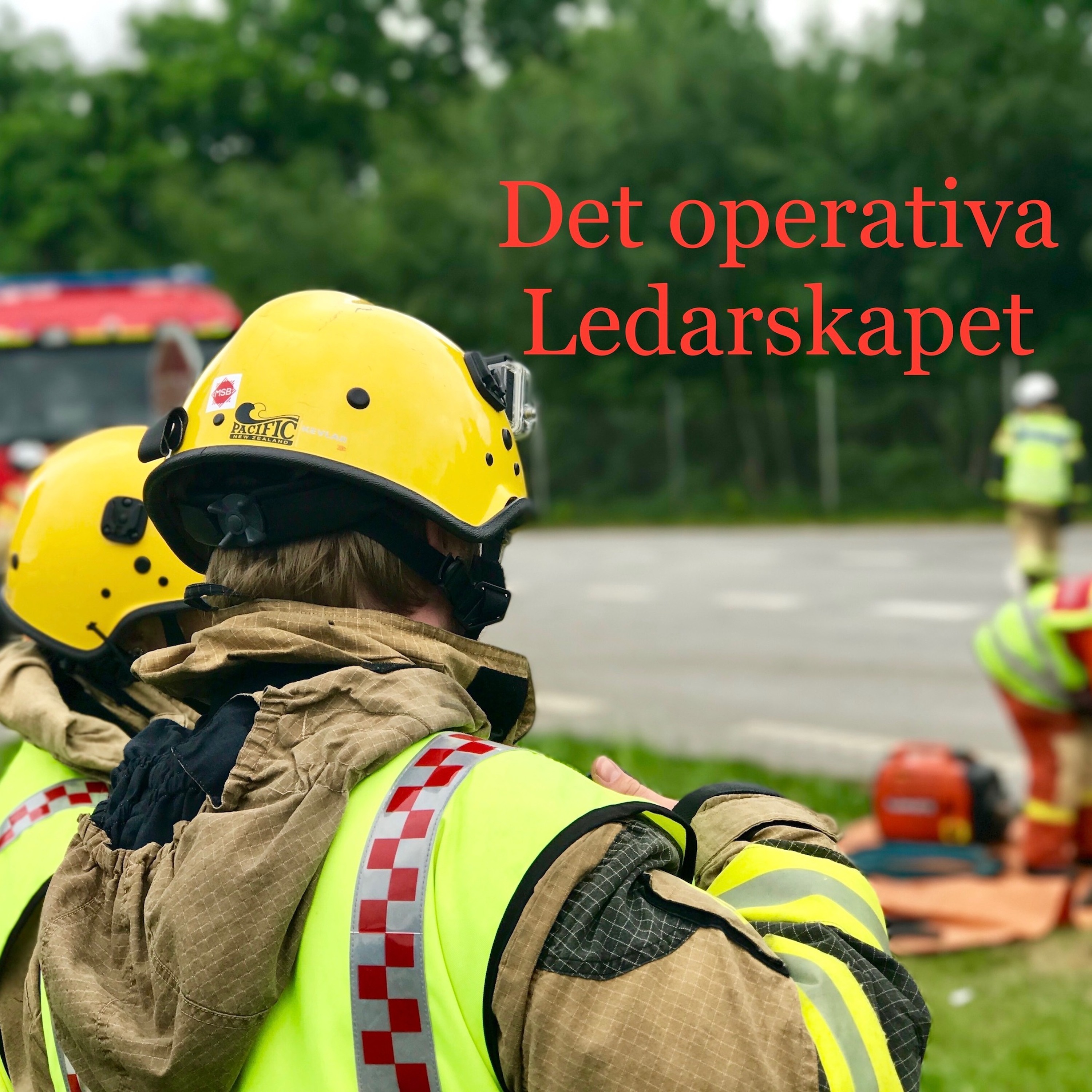 Det operativa ledarskapet