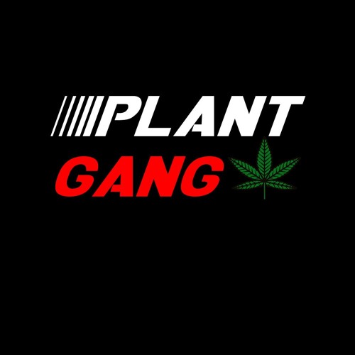MOB