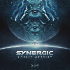Synergic - Losing Gravity