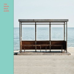 BTS  You Never Walk Alone INSTRUMENTAL