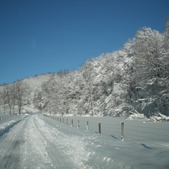 lil dubb-bitches be fake!