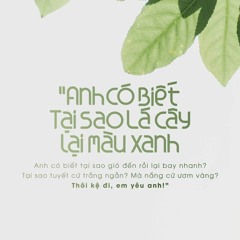 Lí Do Em Xuất Hiệnnnnnn