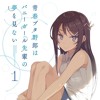 Seishun Buta Yarou wa Bunny Girl Senpai no Yume wo Minai - Fukashigi No Carte (Mai Sakurajima Ver.)