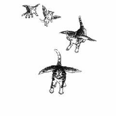 1ONY - SUPER FLY (Bass Boosted)