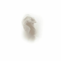 The Sight Of Settling