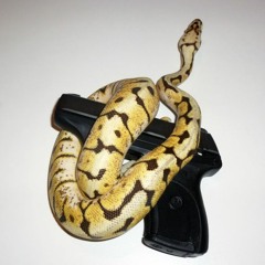 Tha Dash Feat. Jodie 2x (prod. BlackMayo)