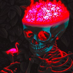 In The Shade (Prod. PrettyBoyFloyd)