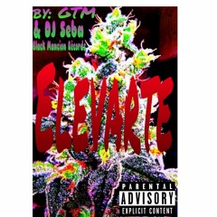 GTM- Elevarte