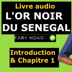 Qu'est-ce que l'Energie ? Livre audio "L'or noir du Sénégal" lu par Fary Ndao - (Chapitre 1)