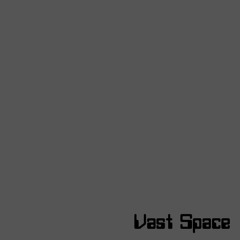 Vast Space