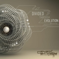 Divided Through Evolution PREVIEW