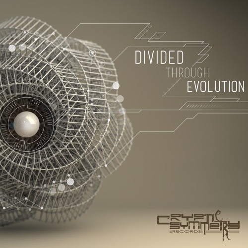 Divided Through Evolution PREVIEW