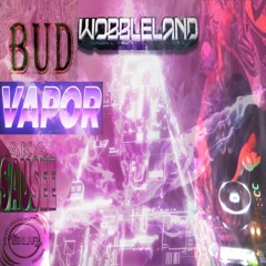 Wobbleland 2019 DJ Contest - Bud Vapor (aka Sausee)