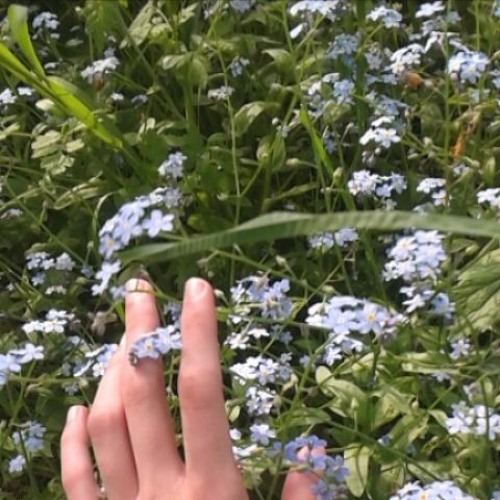 Stream Freedom Intro By Vrubel Listen Online For Free On Soundcloud