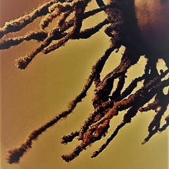 No Bitch (feat. JAH)