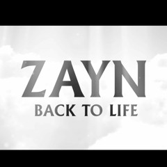 ZAYN - Back To Life (Renygp Remix)