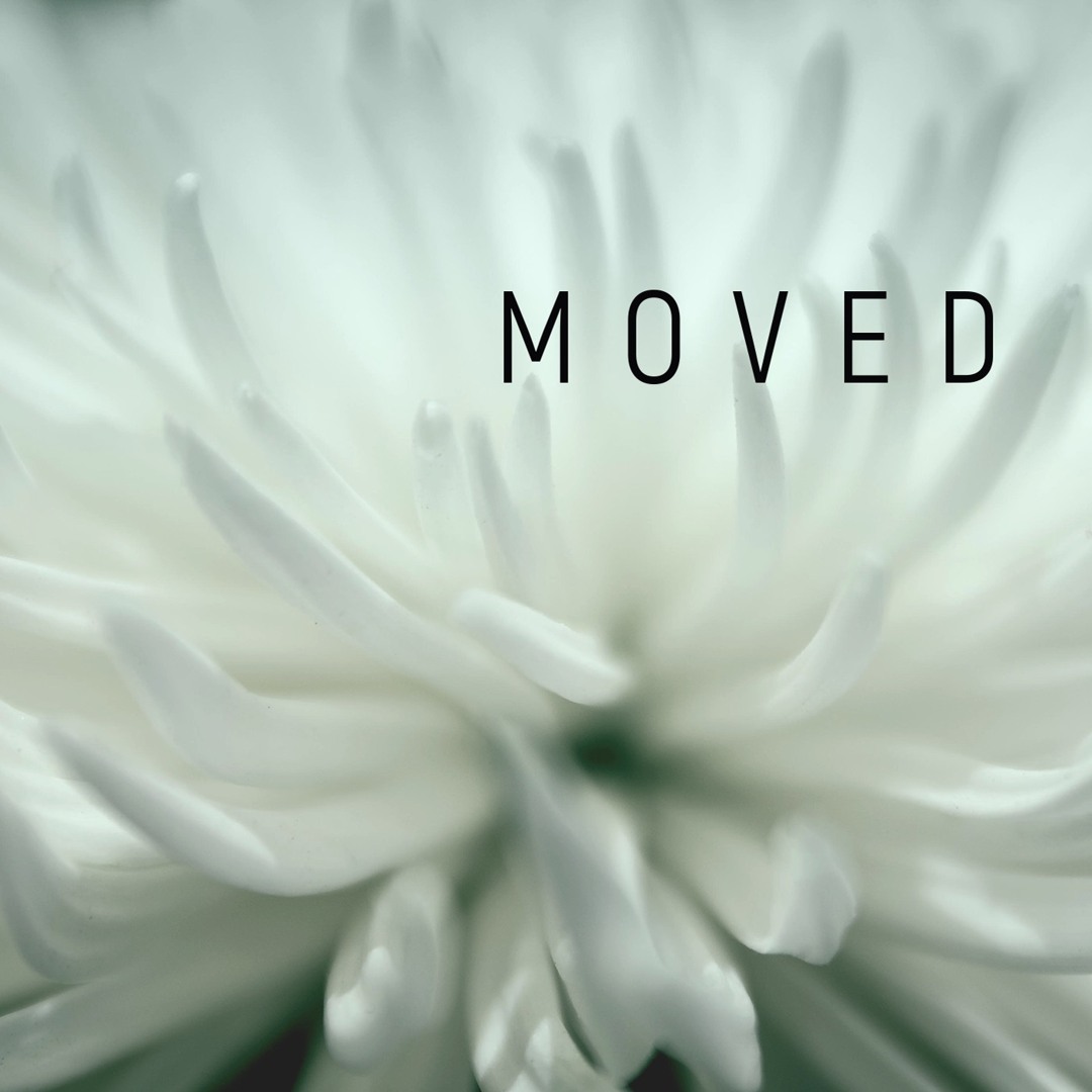 Christmas 2018 — Moved