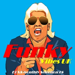 Dj XS Funky Vibes Monthly Selection #8