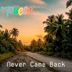 Never Came Back