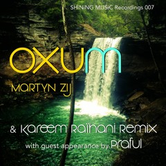 Martyn Zij - Oxum (Kareem Raihani Remix feat. Praful)