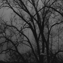 LIFE HAS NO MEANING (PROD. CRAZY DEMXNS)