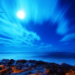 In The Stream Of Moonlight