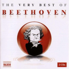 Symphony No. 9 in D minor, Op. 125, "Choral": IV. Finale: Presto - Allegro assai (excerpt)
