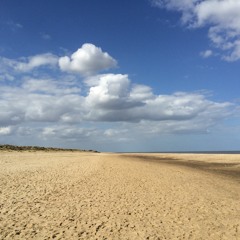 Wouldn't It Be Nice (Beach Boyz)