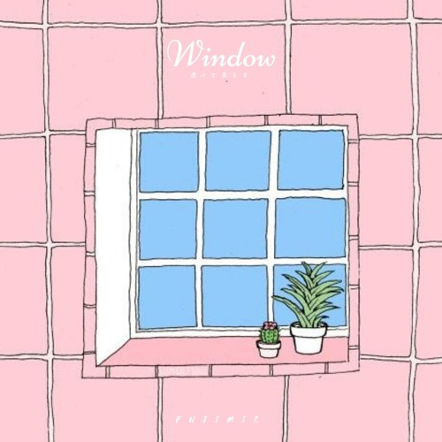 Window