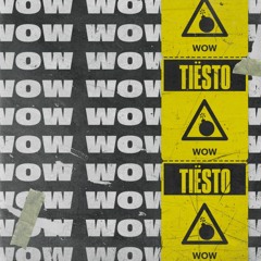 Tiësto - WOW (Extended Mix)