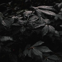 Magillian - I Didn't Always Hate Tech House (FreeDownload)